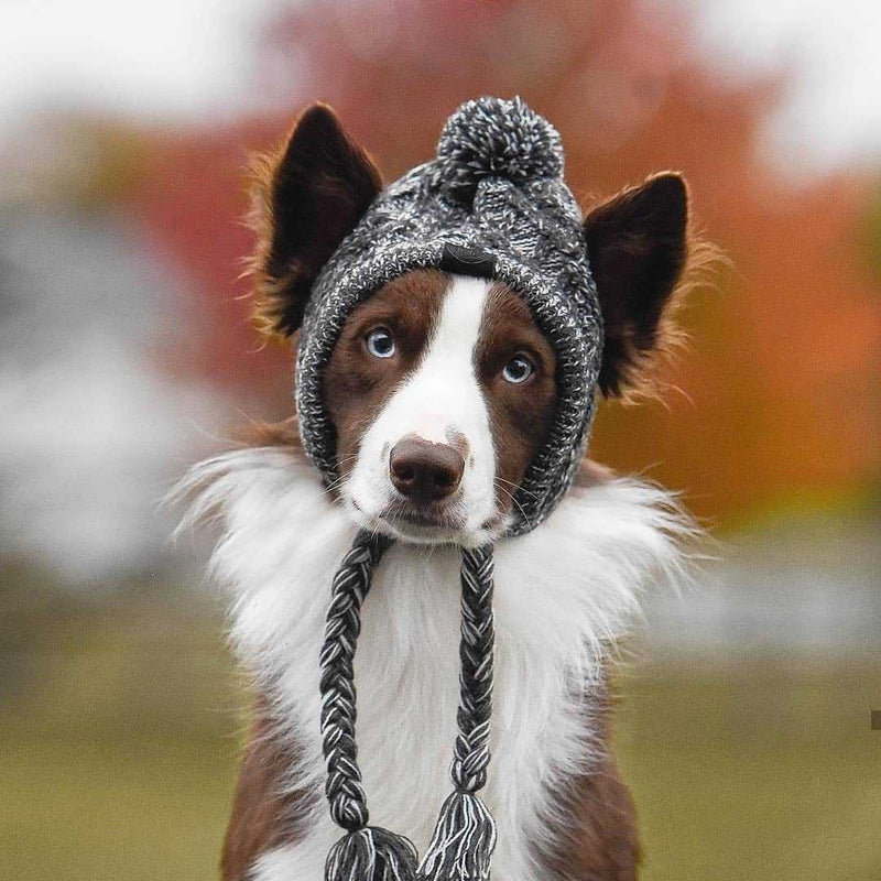 Gorro Pet | Para Cachorro e Gato